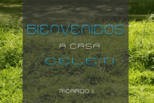 Celeti Display Font for Creative Makers