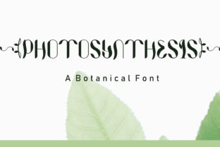Photosynthesis Font: A Display Typeface for Creative Branding