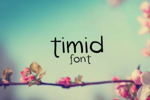 Timid: A Charming Display Font for Creative Projects