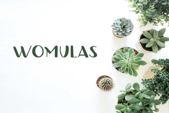 Womulas Font Review for Campaign Designers